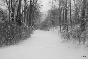 The trail following this week&#039;s snowstorm.