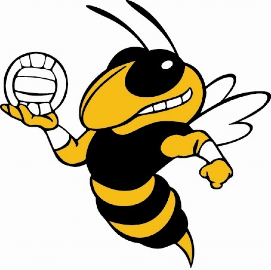 yellow volleyball clipart - photo #18