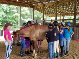 A photo from Horse Camp.