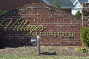 Developer seeking single-family housing at Cross Creek