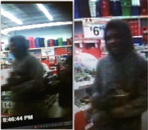 Police seek two in purse-snatching attempt