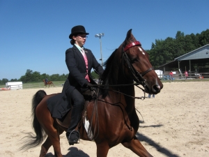 Enfield Lions Horse Show Saturday