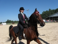 Enfield Lions Horse Show Saturday